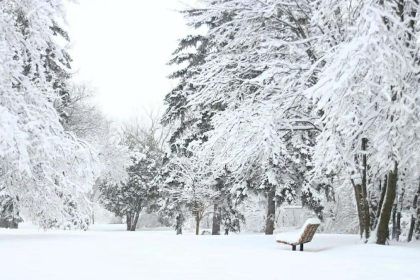 Vremea de Craciun in Romania ninsori si viscol
