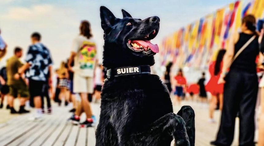 A murit Suier caine politist pensionat de un an