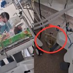 Acuzaii la Spitalul de Pediatrie din Sibiu prinii unui copil grav bolnav jignii Ne au spus c n avem educaie