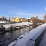 Aparitie rara pe raul Cibin egrete si rate salbatice