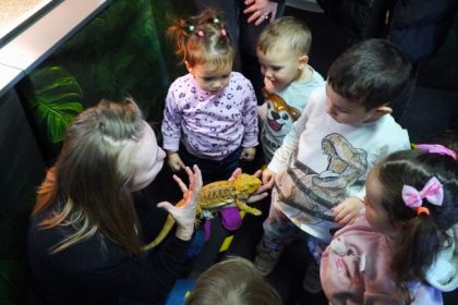 Copiii si au invins fricile la Exotic Expo Sibiu Vedeta celor mici sarpele Corn Snake Cornel foto video