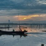 Cum s alegi lansete feeder universale pentru lacuri comerciale si naturale