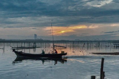 Cum s alegi lansete feeder universale pentru lacuri comerciale si naturale