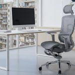 Cum sa iti protejezi spatele la locul de munca ergonomia in 2026