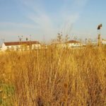 Femeie din Sibiu sanctionata pentrunerespectarea curateniei terenului impozitul crescut cu 500 la suta