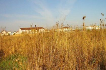 Femeie din Sibiu sanctionata pentrunerespectarea curateniei terenului impozitul crescut cu 500 la suta