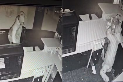 Inca un furt pe Victorie un om al strazii imprumuta bunuri dupa ce a fost primit sa se adapostesc de frig video