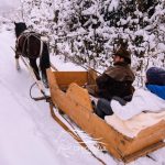 Sania trasa de cai e cautata iarna aceasta