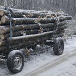 Transporturi ilegale de lemne depistate in Sibiu