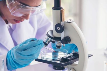 descoperire uimitoare semintele unei specii de vinete incetinesc dezvoltarea cancerului de colon