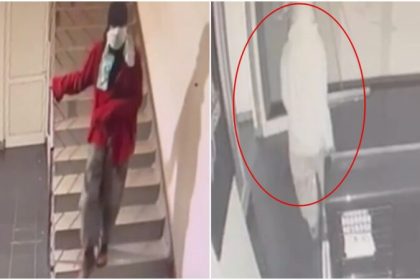 pedeapsa impusa hotului care a comis furturi pe strada victoriei nu mai are dreptul sa patrunda in sibiu timp de 5 ani