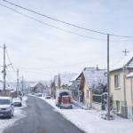 sofer prins baut la volan loames alcoolemie mare