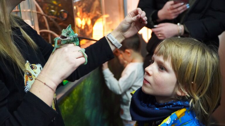 Agenda weekendului la Sibiu petrecere Pulse teatru expozitii spectacole si baschet la Sala Transilvania