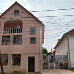 Ce sanciune a primit sibianul care si a infrumusetat casa cu simboluri fasciste in interior avea o pictura cu Hitler