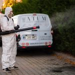 De ce reapar insectele dupa tratamente necorespunzatoare cum sa identifici un serviciu neprofesionist