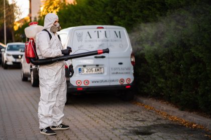 De ce reapar insectele dupa tratamente necorespunzatoare cum sa identifici un serviciu neprofesionist