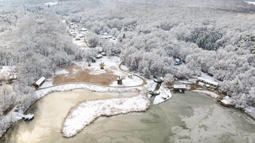 Guvernul face concesii institutiile culturale muzeele si bibliotecile vor evita reducerile de personal si taierile de fonduri