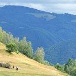 Jina la inaltimea traditiilor din Marginimea Sibiului ce mancam ce vizitam si unde ne cazam in poarta spre Transalpina