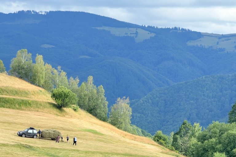 Jina la inaltimea traditiilor din Marginimea Sibiului ce mancam ce vizitam si unde ne cazam in poarta spre Transalpina