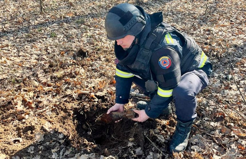 Munitie de razboi gasita in padurera Sopa interventie a pirotehnistilor foto