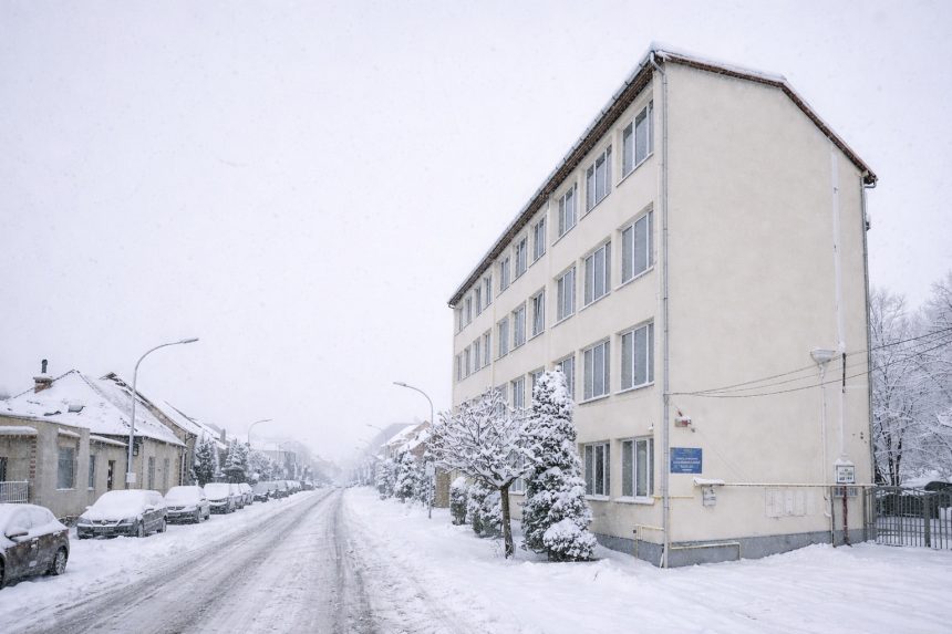 Parintii din Selimbar solicita infiintarea unei clase cu predare in limba germana ISJ Sibiu explica motivele pentru care acest lucru nu este posibil