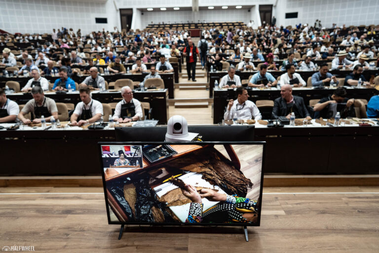 Un festival renumit anulat Peste 80 de tari afectate de acesta hotarare