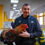 Weekendul plin la Sibiu expozitie de gaini petreceri de Valentines spectacole si meci interesant pe Municipal