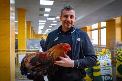 Weekendul plin la Sibiu expozitie de gaini petreceri de Valentines spectacole si meci interesant pe Municipal