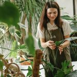 idei de design pentru solarii care sa crestere productivitatea legumelor tale