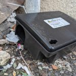 ANUNT Lucrari de deratizare in Sibiu intre 30 martie si 3 aprilie 2026