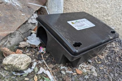 ANUNT Lucrari de deratizare in Sibiu intre 30 martie si 3 aprilie 2026