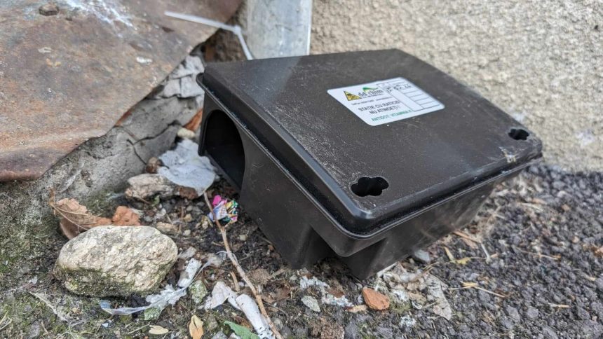 ANUNT Lucrari de deratizare in Sibiu intre 30 martie si 3 aprilie 2026