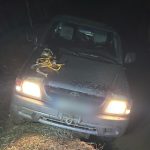 Aventura riscanta pe un drum forestier din Salisete interventia jandarmilor foto