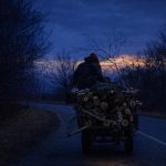 Barbat din Jina surprins in timp ce transporta lemne fara documente cu o caruta