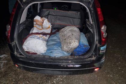Braconierii din Avrig eliberai judectorii au aplicat o msur mai blnd