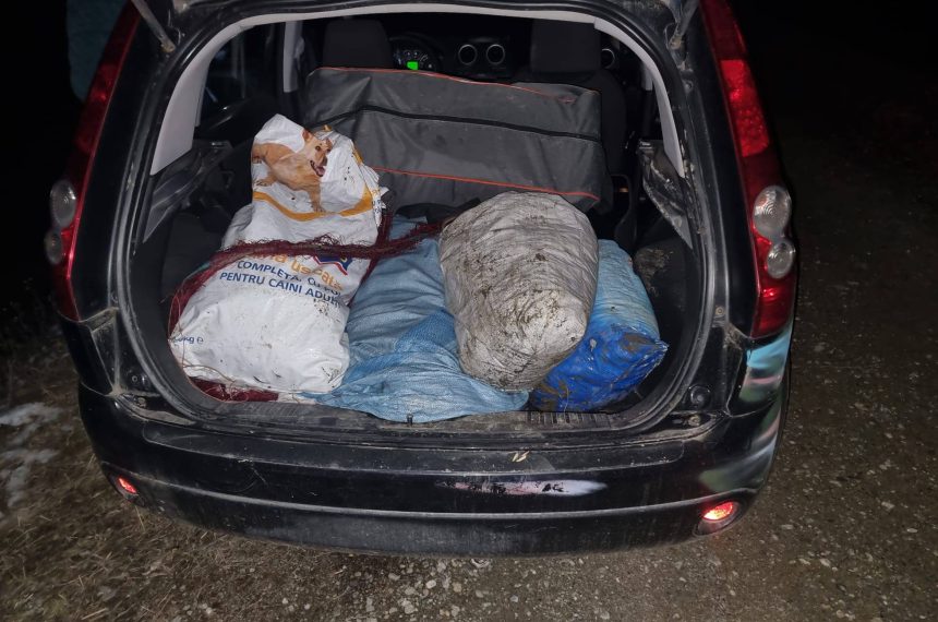 Braconierii din Avrig eliberai judectorii au aplicat o msur mai blnd