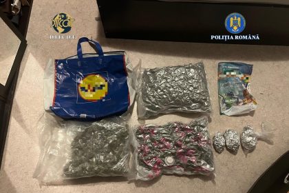 Captura de canabis de peste 8 kilograme cinci tineri arrestati in Valcea foto