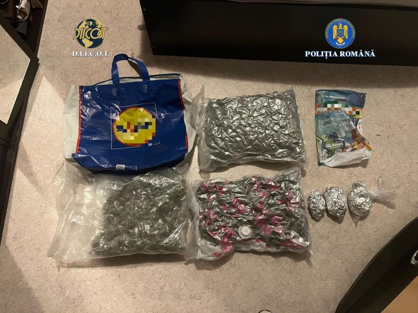 Captura de canabis de peste 8 kilograme cinci tineri arrestati in Valcea foto