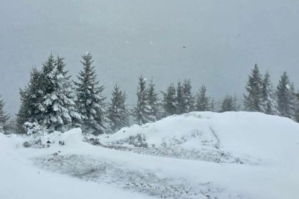 Cod portocaliu de ninsori si vant intens in mai multe judete la Sibiu se afla sub cod galben