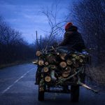 Doi tineri surprinsi furand lemne dintr o padure din Brateiu