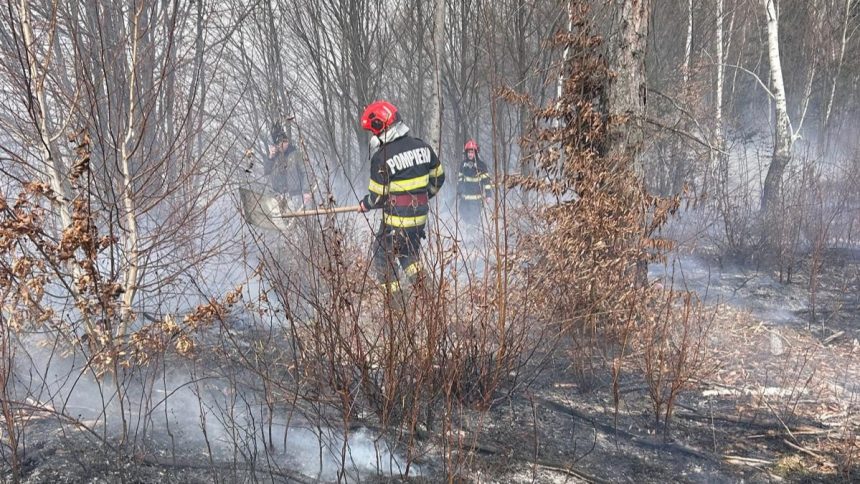 Incendiul de la Porumbacu de Sus stins dupa ore ndelungi de interventie 100 de hectare afectate