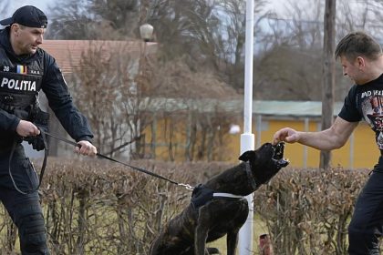 Locuitorii din zona Centrului Chinologic Sibiu deranjati de latratul cainilor au solicitat in instanta inchiderea acestuia