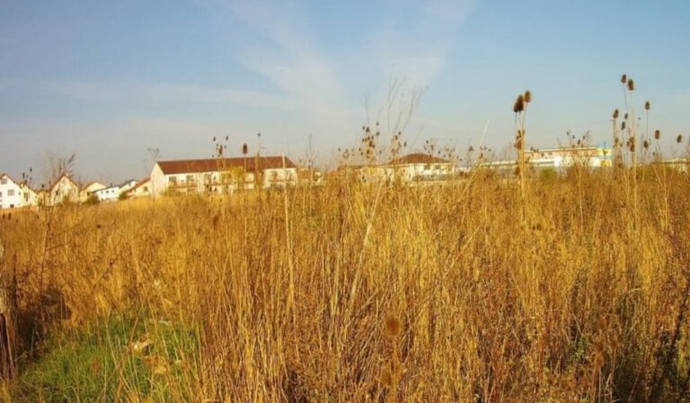 Neglijenta care cost scump Ce impozit va plati o sibianca pentru un teren plin de nelucrare