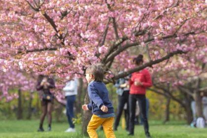 Prognoza vremii de Paste 2026 ANM preconizeaza temperaturi mai scazute decat in mod obisnuit