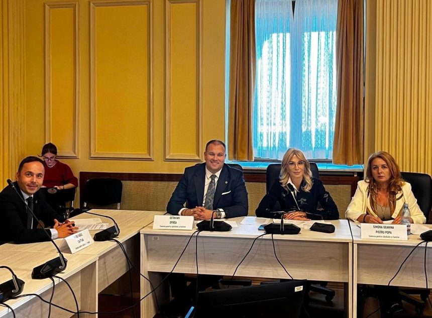 Raluca Turcan anunta ca legea pentru sprijinirea copiilor cu autism si sindrom Down este aproape de a fi adoptata