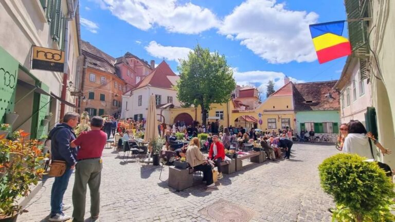 Stadiul proiectelor propuse de sibieni in cadrul programului de Bugetare Participativa o oaza urbana intr o piazet din oras si sute de copaci plantati