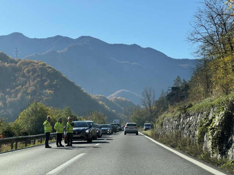 Trafic ingreunat in doua zone de pe Valea Oltului se instaleaza bariere pentru animalele salbatice