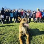 Ziua Portilor Deschise la Centrul Chinologic din Sibiu demonstraii cu caini dresati disponibile