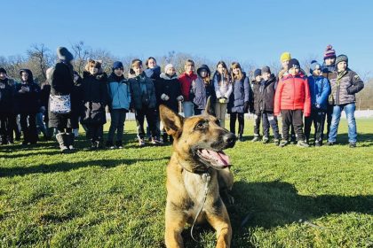 Ziua Portilor Deschise la Centrul Chinologic din Sibiu demonstraii cu caini dresati disponibile