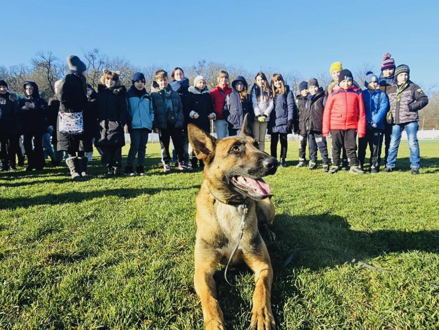 Ziua Portilor Deschise la Centrul Chinologic din Sibiu demonstraii cu caini dresati disponibile